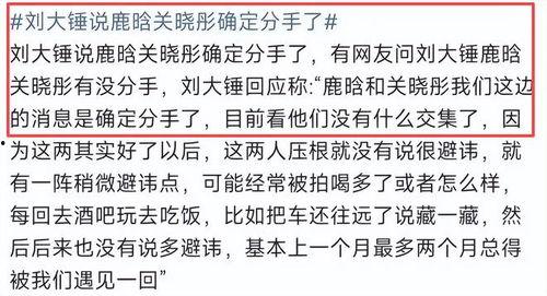 年度报告娱乐吃瓜酱,吃瓜酱带你回顾年度热点事件