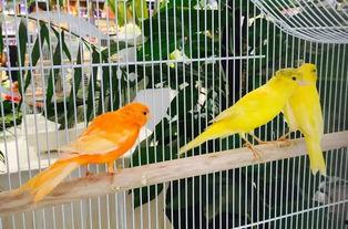 郑州公司吃瓜娱乐公司,揭秘幕后故事与行业风云