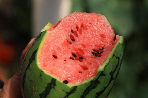 在线吃瓜图片,吃瓜群众的视觉盛宴